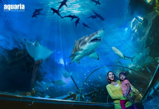 Aquaria KLCC