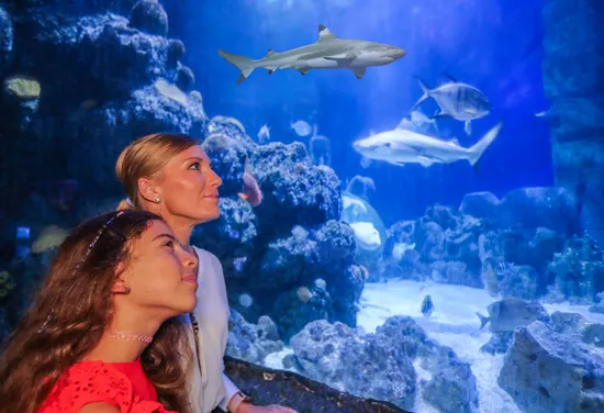SEA LIFE Munich