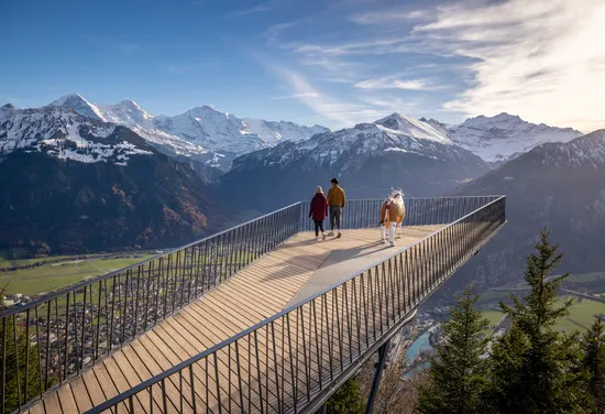 Harder Kulm