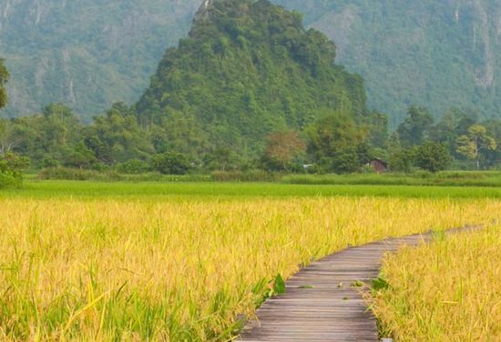 Vangvieng