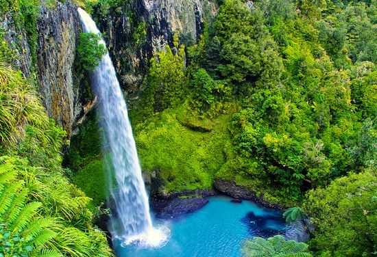 Waikato