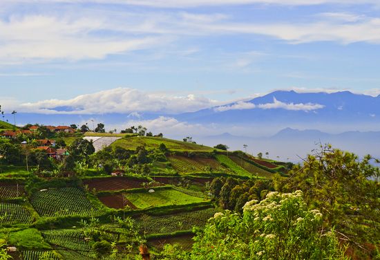 Bandung