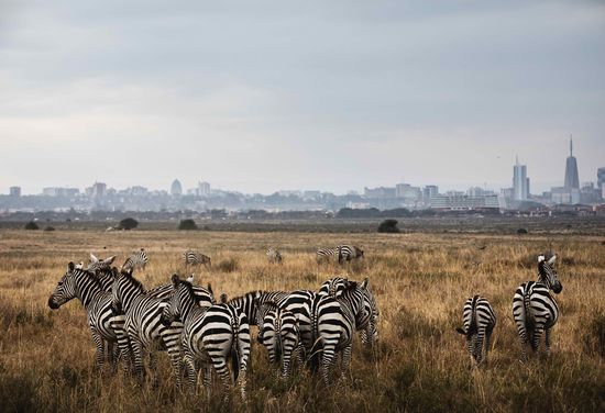 Nairobi