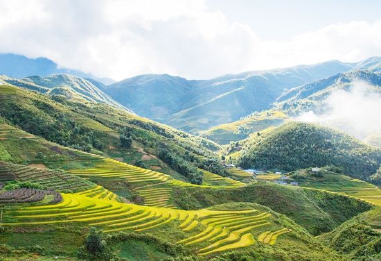 Sapa