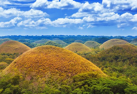 Bohol