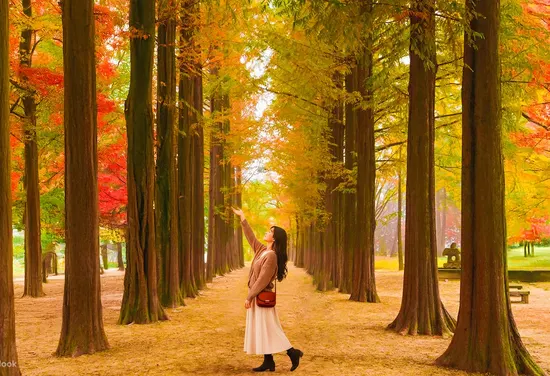 Nami Island