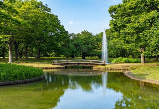 Yoyogi Park