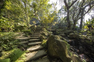 新北三峡大板根森林温泉酒店 #5