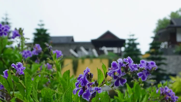 蒙查温泉旅馆 #1