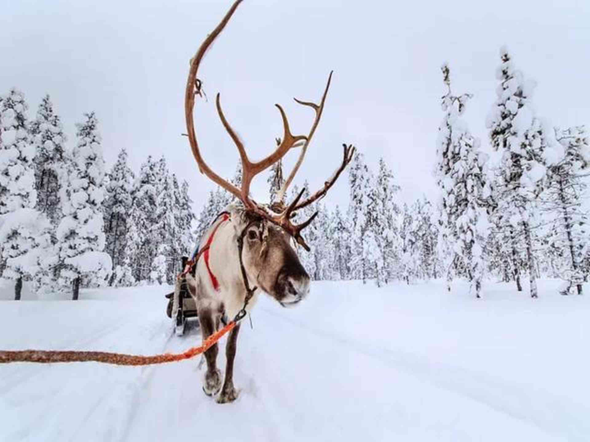 中國雪鄉