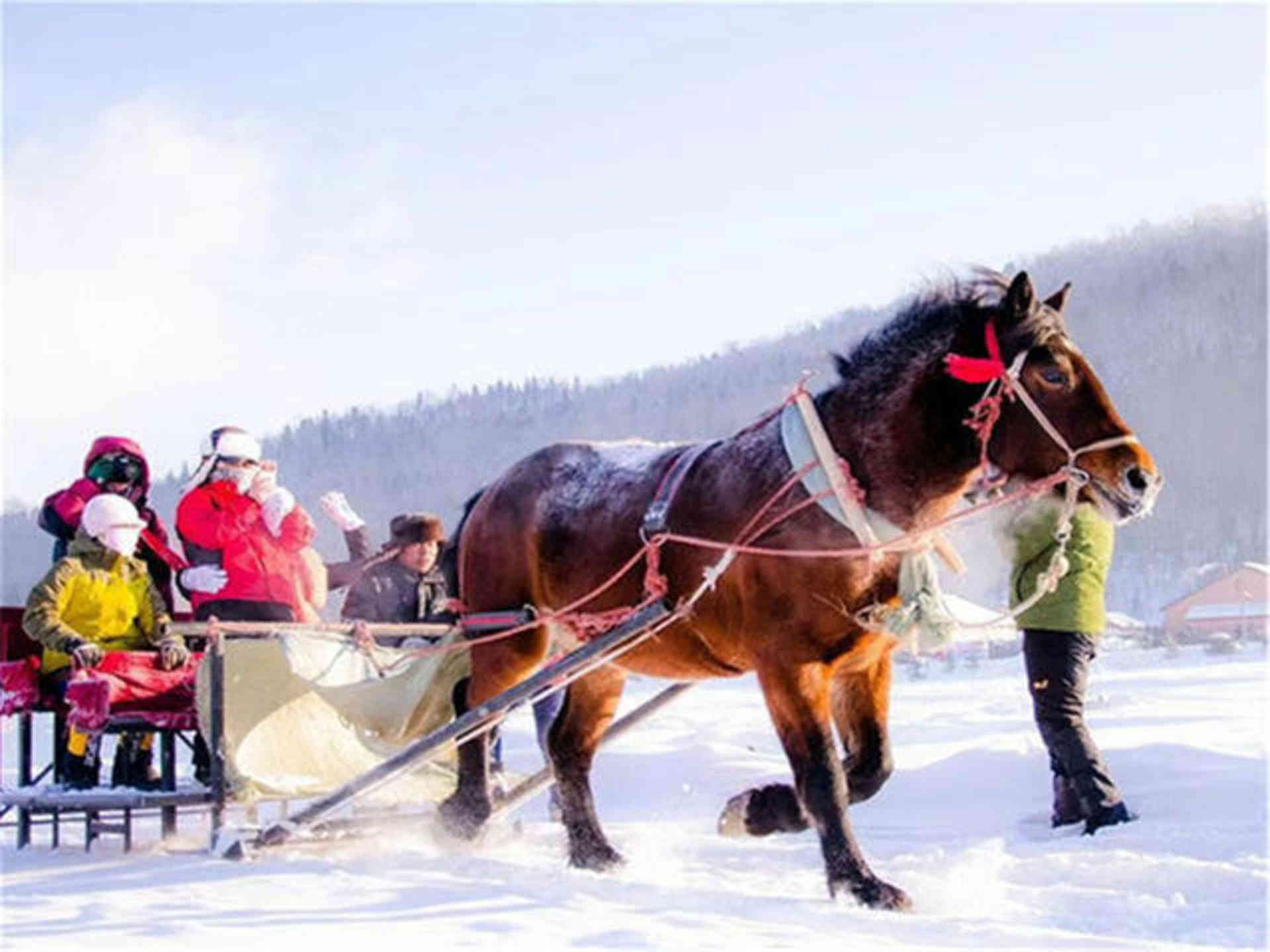 馬拉爬犁穿越林海雪原