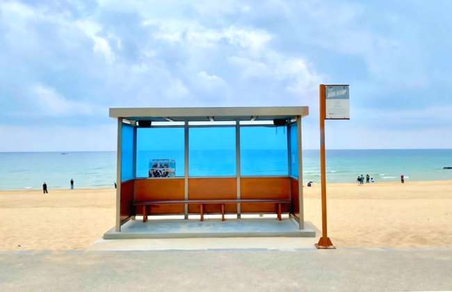 Gangneung BTS Bus Stop & Local Culture Tour