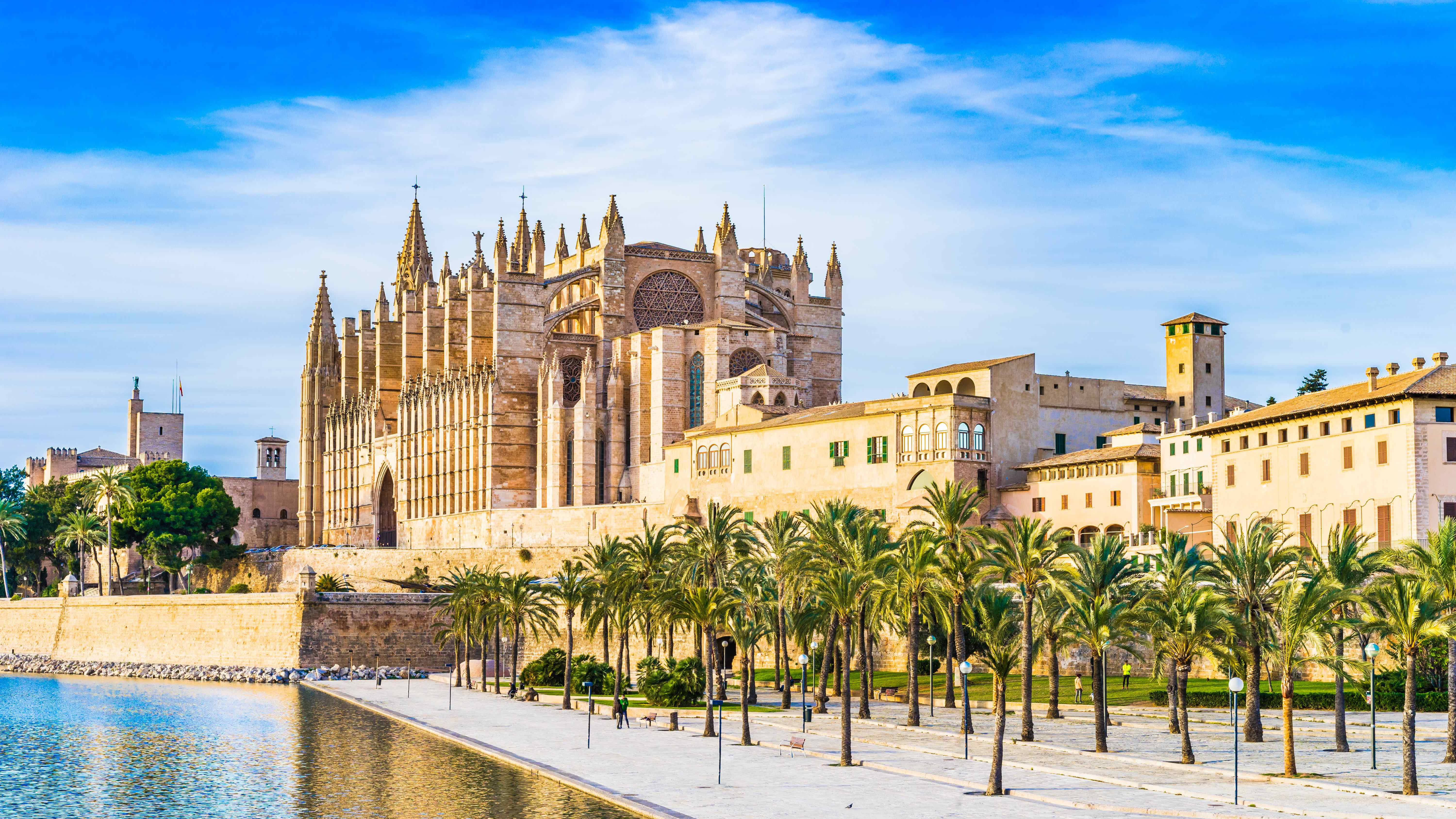 Palma