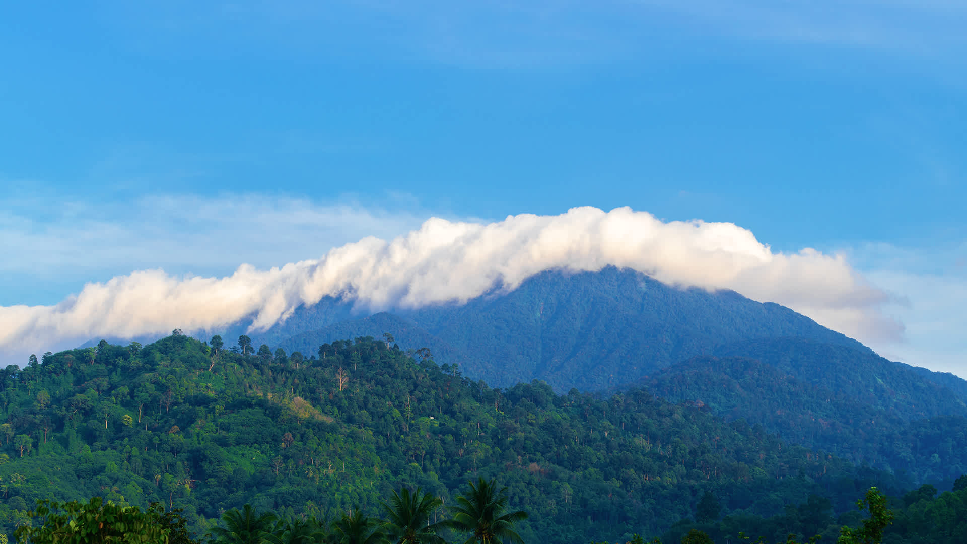 Nakhon Si Thammara Province