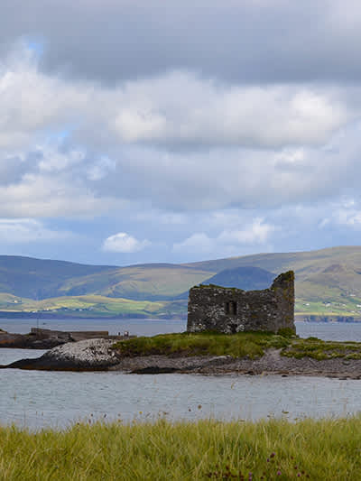 Limerick