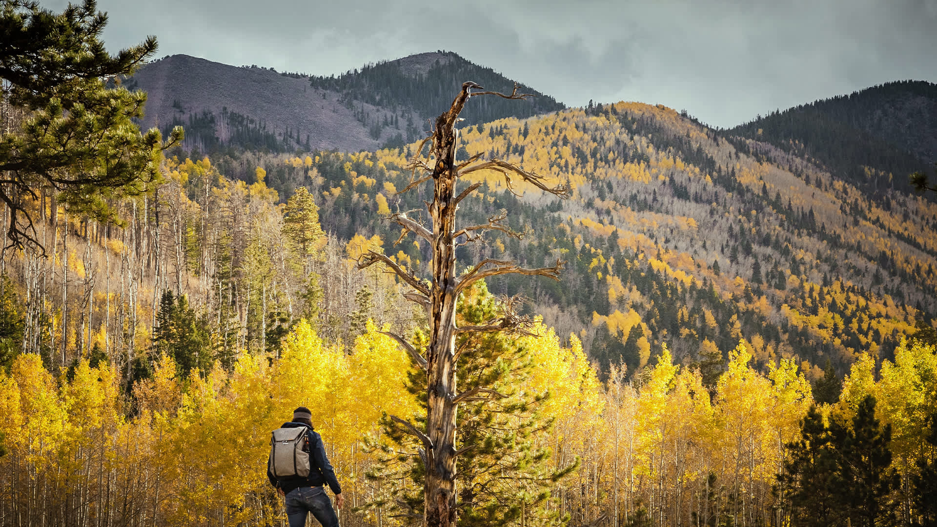 Flagstaff