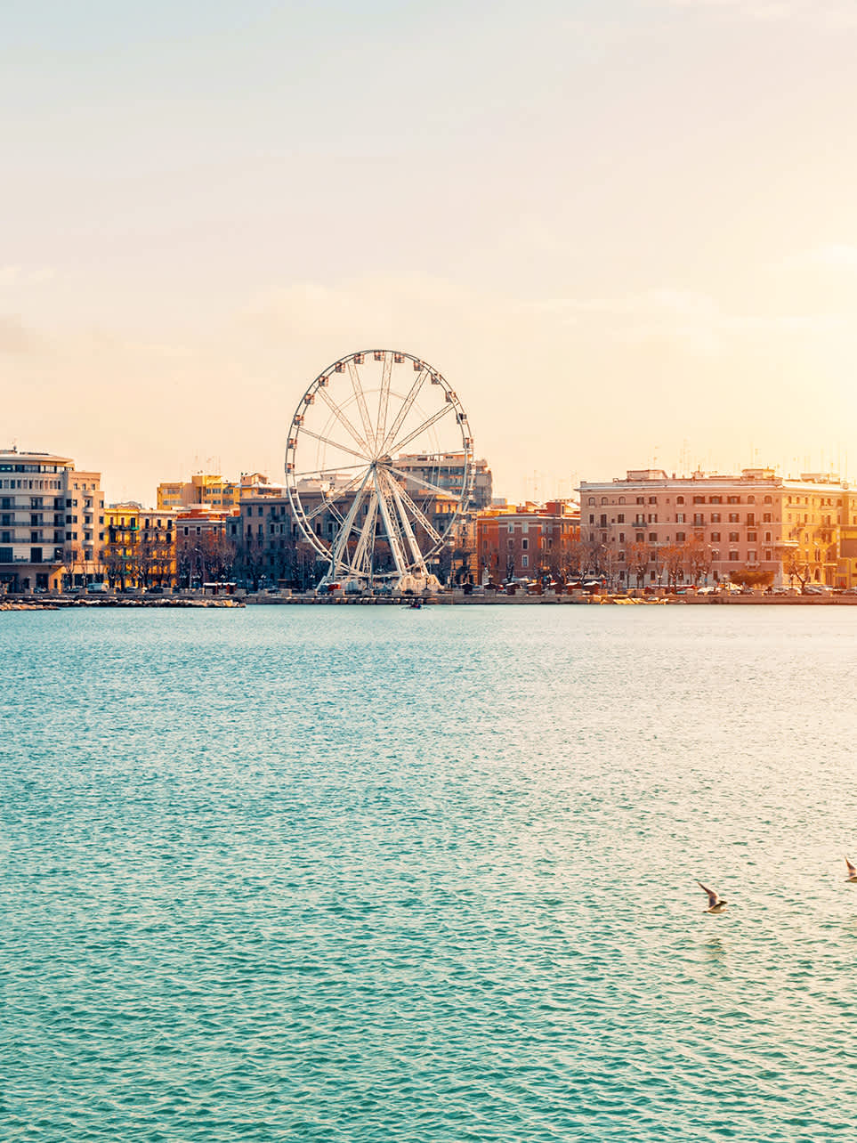 Bari Day trips