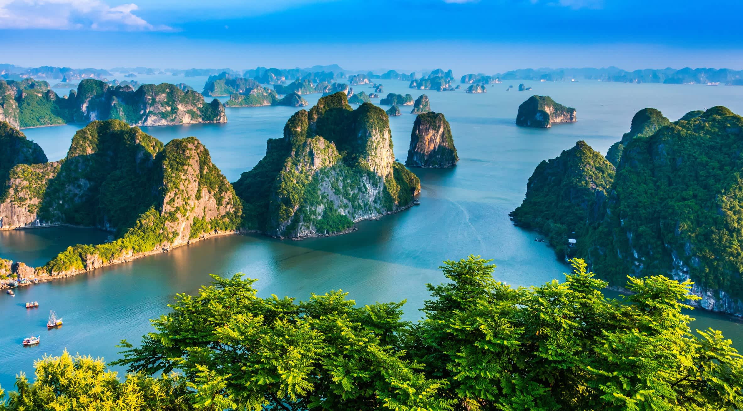 Ha Long