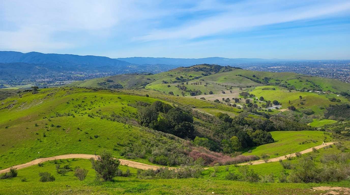 Santa Teresa