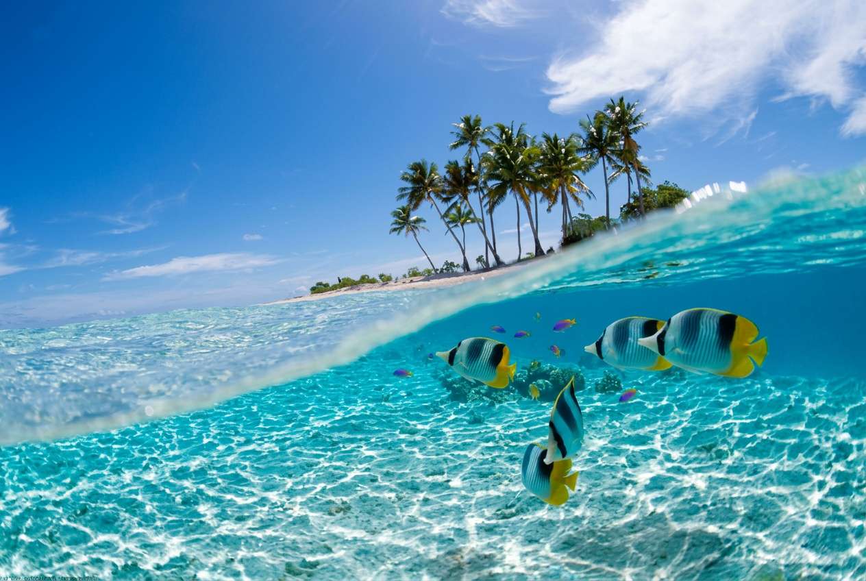 Bunaken Scuba diving