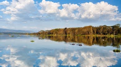 Naivasha