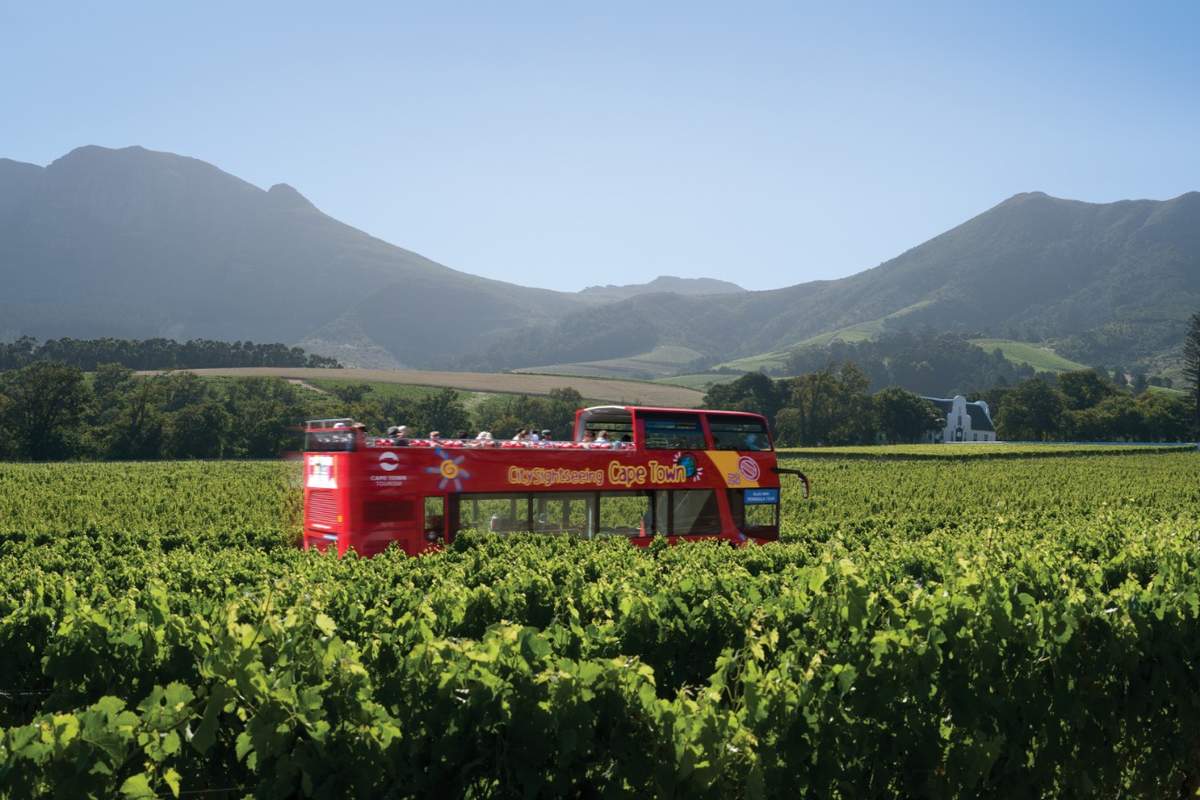 11 Top Activities in Cape Town (2020) with Reviews