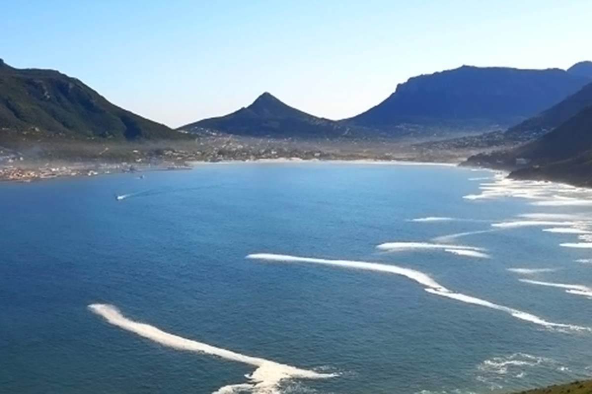 11 Top Activities in Cape Town (2020) with Reviews