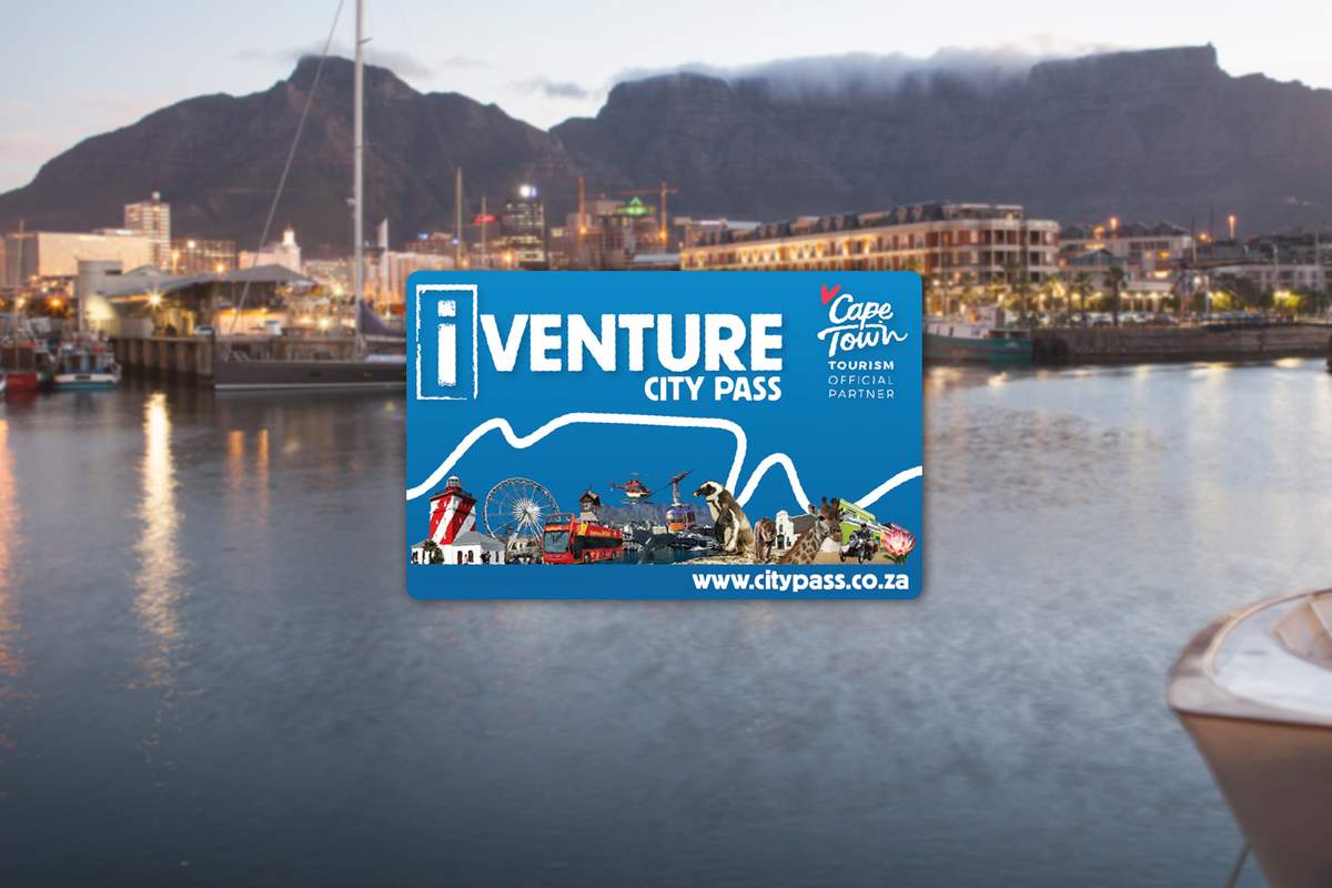 11 Top Activities in Cape Town (2020) with Reviews