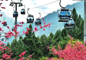 Day Trips and Tours from Nantou City