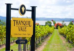 Tranquil Vale Vineyard: Gastronomic Tours & Experiences