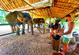 Experiências Gastronómicas em Surat Thani