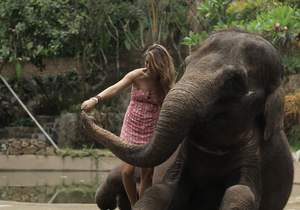 Billets pour les parc à theme à Lombok