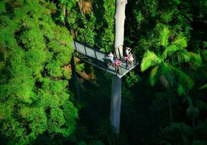 Tours de compras en Gold Coast