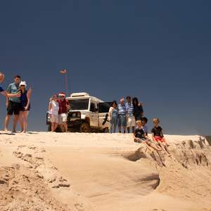 Tours de un día y Excursiones