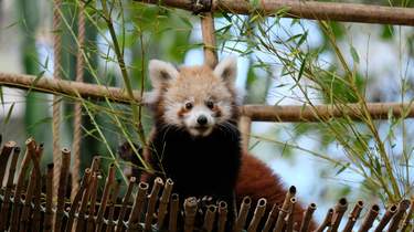 Lisbon Zoo: Tickets