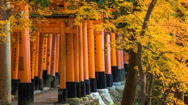 伏見稲荷大社・嵐山・清水寺 寺社巡りツアー(大阪発)