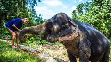 Phang Nga Elefantenpark: Tagesausflüge und Touren ab Krabi (Stadt)