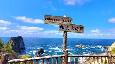 小樽 桜花見・積丹半島神威岬 日帰りツアー（札幌発）