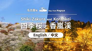 名古屋発 小原四季桜 & 香嵐渓 紅葉日帰りツアー