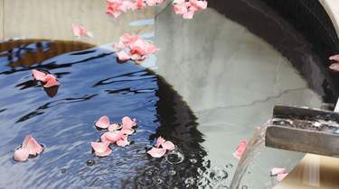 good_img