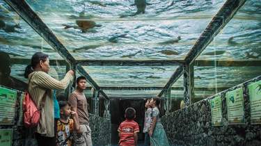 Monster Aquarium: Tickets