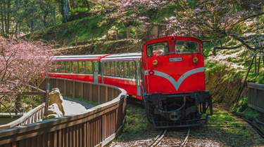 Excursiones de varios días desde Chiayi County