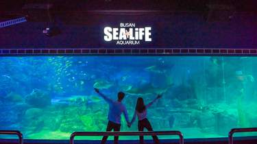 Sea Life Aquarium: Tickets