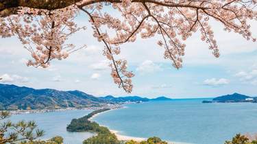 amanohashidate tourist information