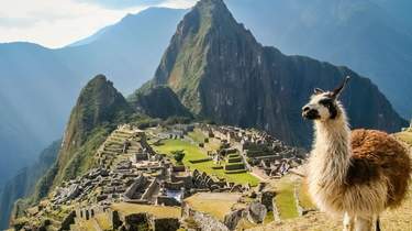 Multi day trips