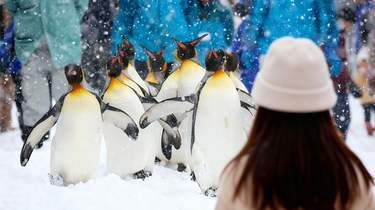 good_img