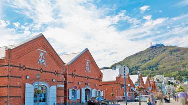 Multi-day Tours and Trips from Sapporo