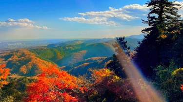 Mt. Takao: Excursions à la journée depuis Tokyo
