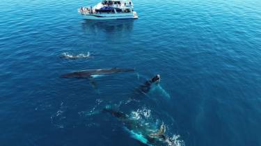 Boat Tours in Margaret River