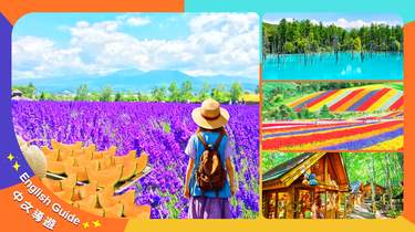 北海道お花見｜ジェットコースターロード＆青い池＆四季彩の丘・ファーム富田＆フェアリーテラス日帰りツアー｜札幌発｜オプションでビュッフェランチ付き